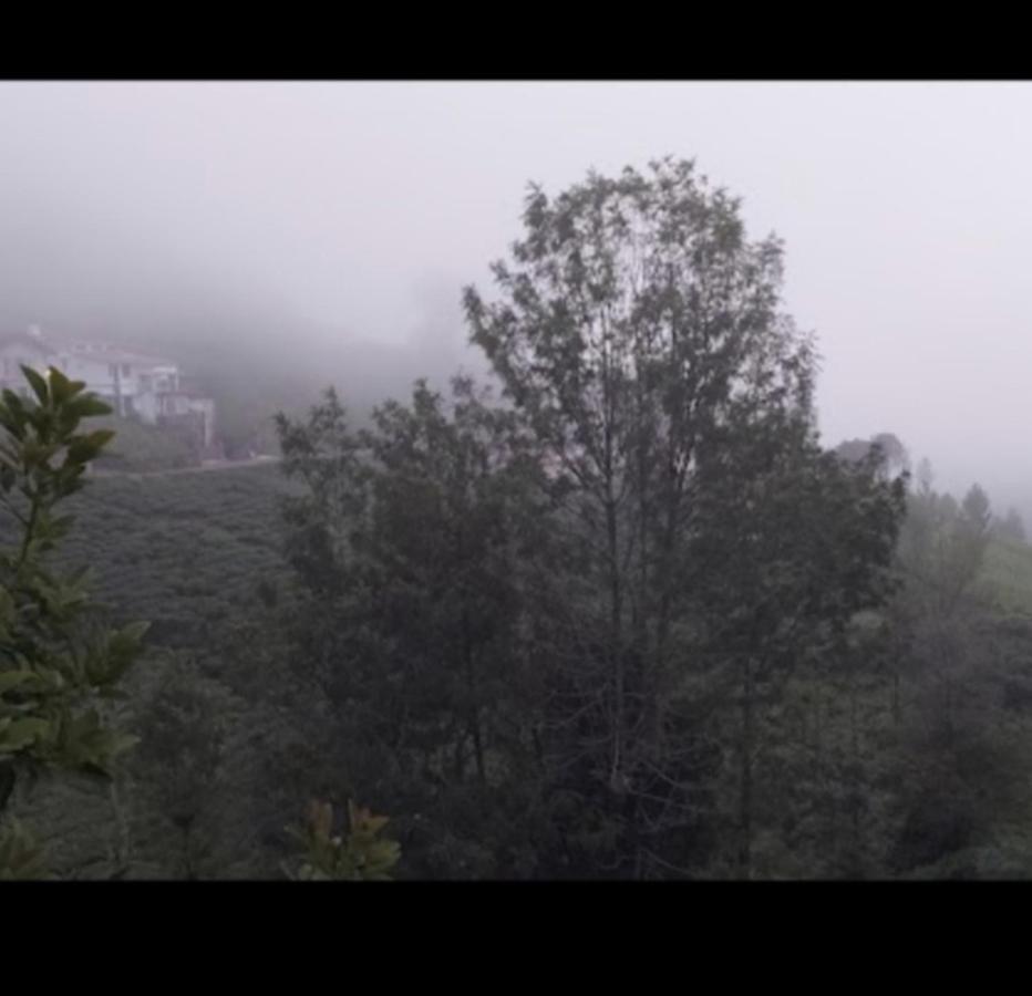 The Valley Villa Котагири Екстериор снимка
